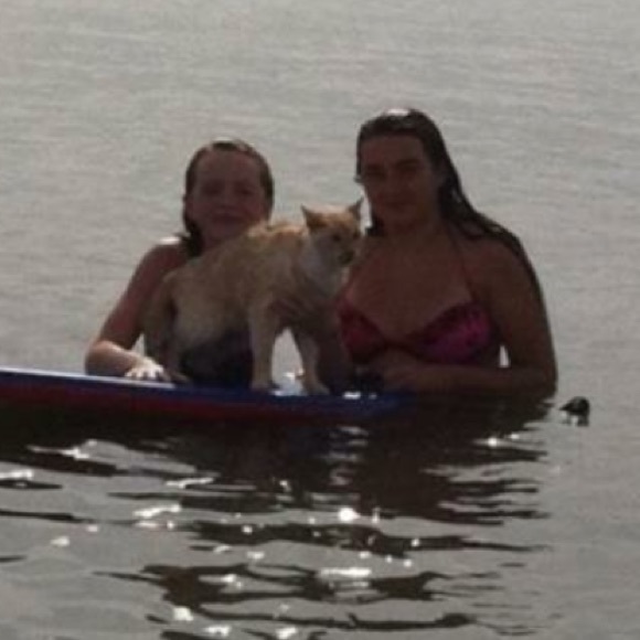 Meet your Posher, Beth - Picture 1 of 3